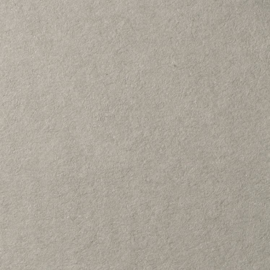 фотография Бумага для пастели lana, 160 г/м2, лист а3, холодный серый