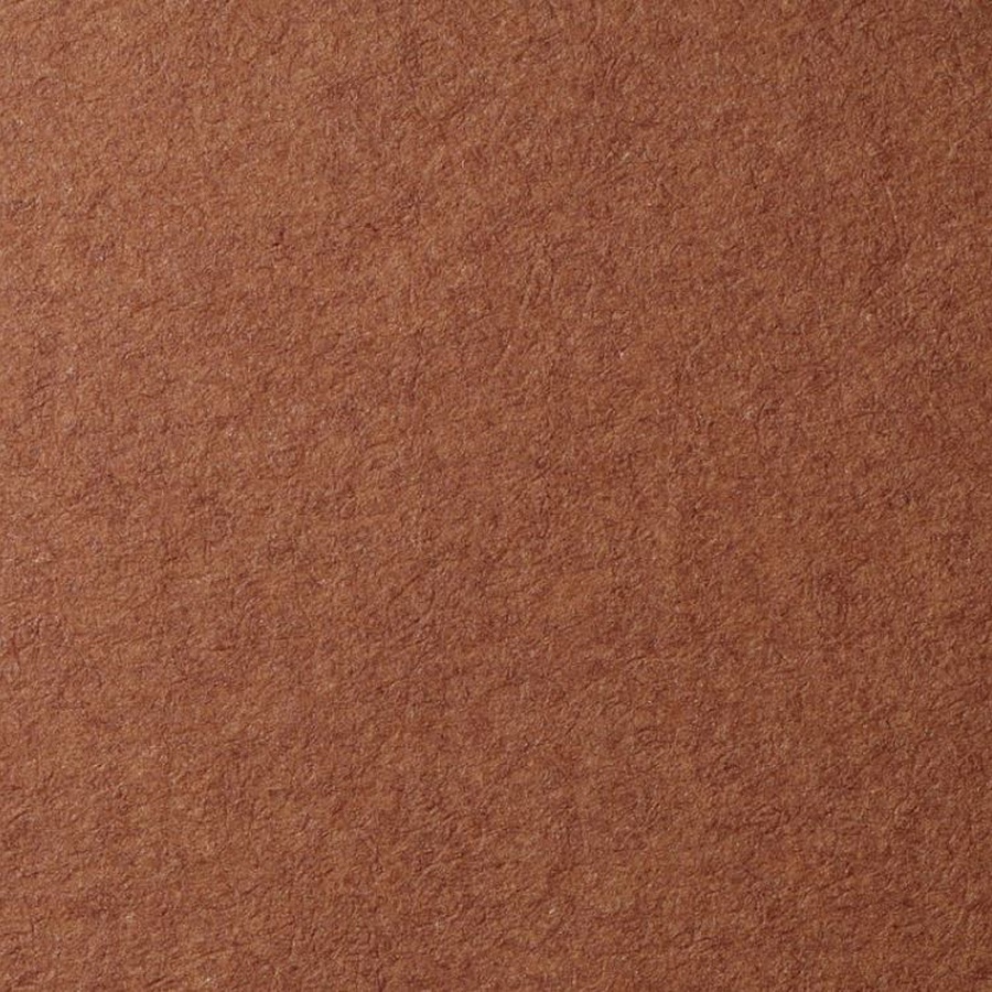 фото Бумага для пастели lana, 160 г/м2, лист а4, тёмно-коричневый