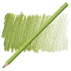 картинка Карандаш цветной faber-castell polychromos 170 нежно-зелёный