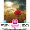 фото Картина по номерам 40х50 см,"маковое поле", на подрамнике