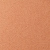 изображение Бумага для пастели lana, 160 г/м2, лист а4, охра