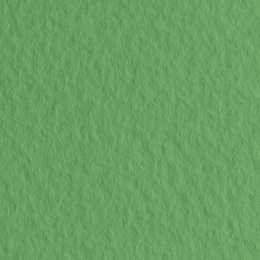фотография Бумага для пастели fabriano tiziano, 160 г/м2, лист 50x65 см, зелёный луг № 12