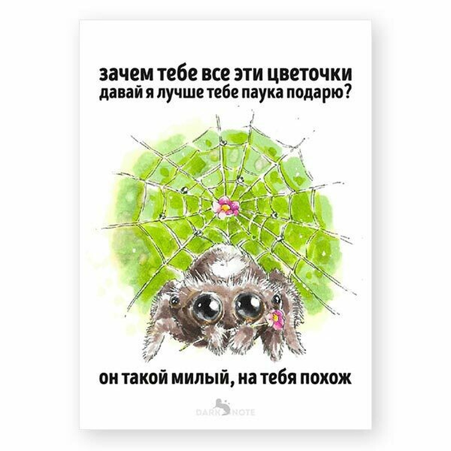 фото Открытка паучок