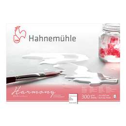 изображение Альбом-склейка для акварели hahnemuhle harmony, 300 г/м2, а4, 12 л