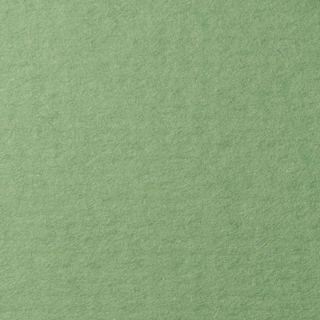 фотография Бумага для пастели lana, 160 г/м2, лист 70х100 см, зелёный сок
