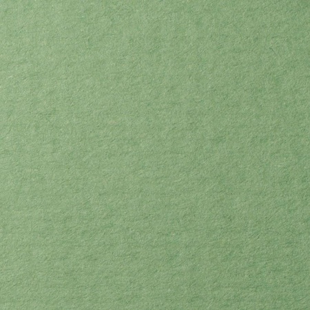 фото Бумага для пастели lana, 160 г/м2, лист а3, зелёный сок