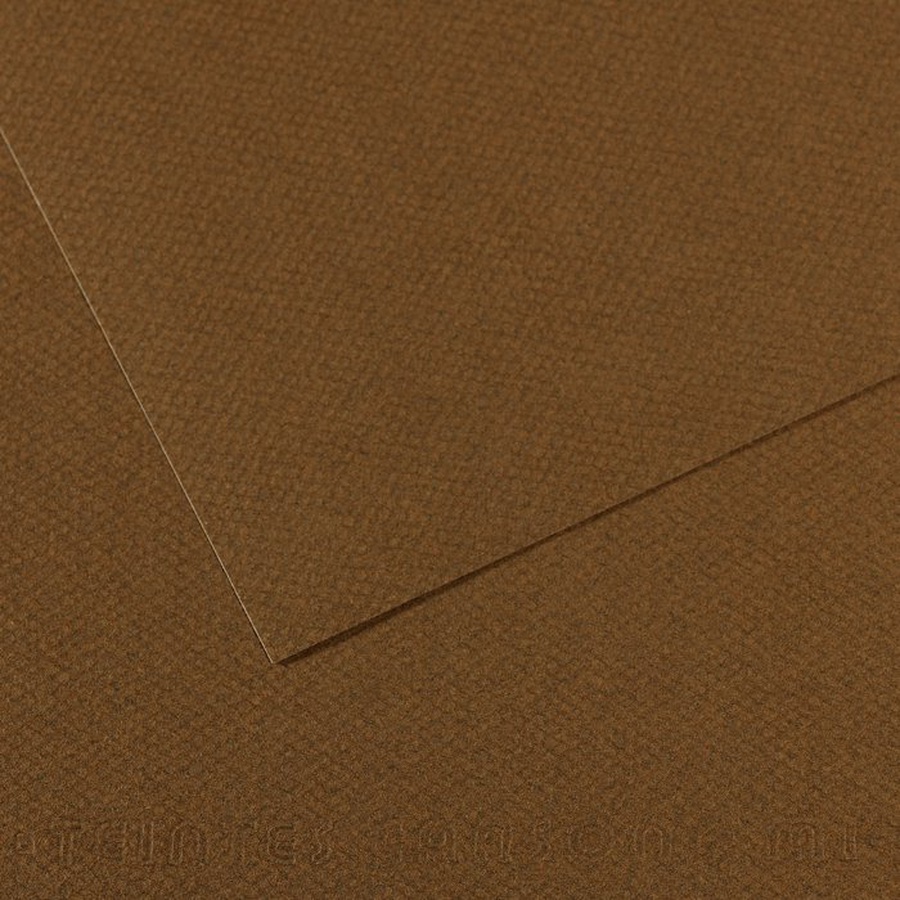 фото Бумага для пастели canson mi-teintes, 160 г/м2, лист а4, № 501 каштановый