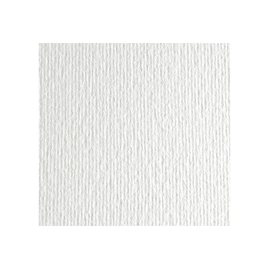 изображение Бумага цветная fabriano cartacrea 220г 21x29,7 белый