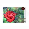 фотография Планшет для акварели гознак алая роза, размер 42х60 см, 20 листов, плотность 200 г/м2, текстура скорлупа