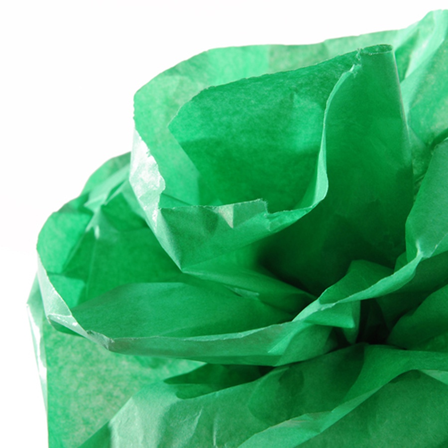 изображение Бумага шёлковая canson, рулон 0,5х5 м, 20 г/м2, светло-зелёный