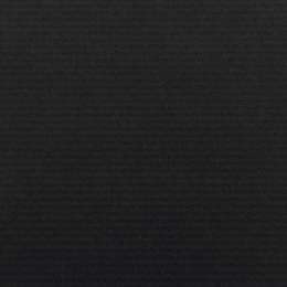 фотография Бумага крафт canson в рулоне 0,68х3 м, 65 г/м2, чёрный