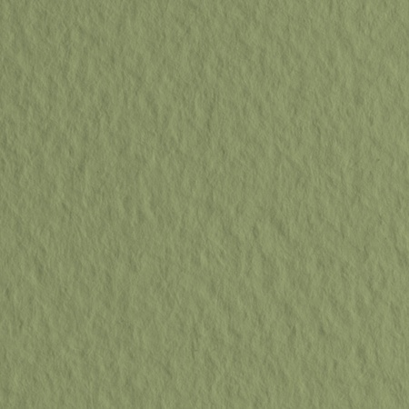изображение Бумага для пастели fabriano tiziano, 160 г/м2, лист 50x65 см, зелёный мох № 14