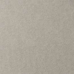 изображение Бумага для пастели lana, 160 г/м2, лист а3, холодный серый