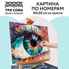 фото Картина по номерам на холсте "волшебство взгляда", 40*50 см