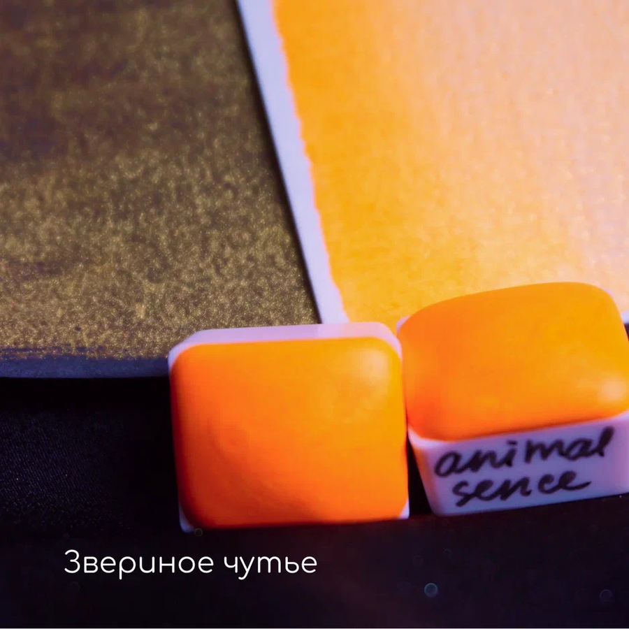 картинка Краска акварельная tintura кювета, звериное чутье