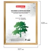 фото Рамка 30х40 см, дерево, багет 18 мм, brauberg "hit", канадская сосна, стекло