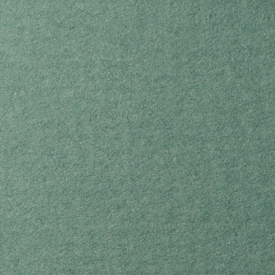 изображение Бумага для пастели lana, 160 г/м2, лист а3, полынь