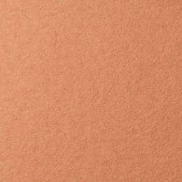 изображение Бумага для пастели lana, 160 г/м2, лист 50х65 см, охра