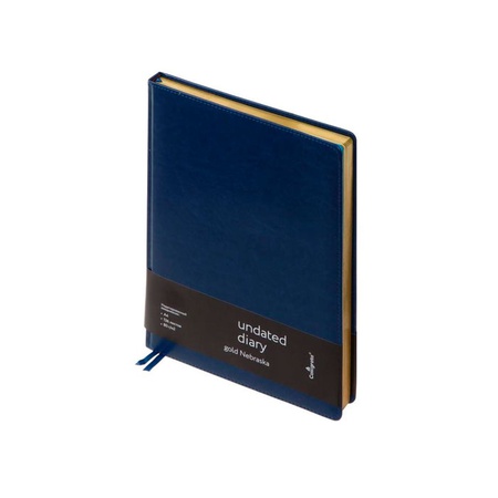 картинка Ежедневник недатированный формат a4, 136 листов в клетку, синий "небраска"