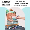 картинка Картина по номерам на холсте "дневной сон", 30*40 см