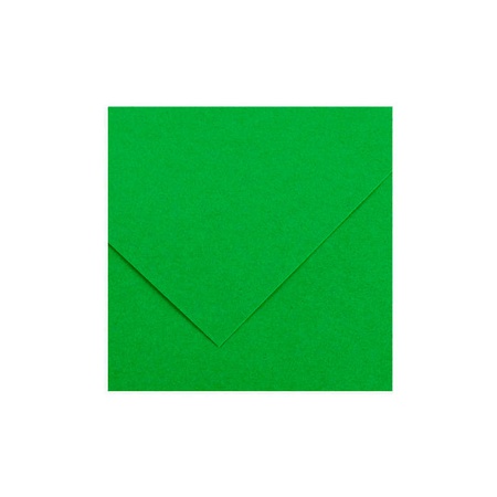 изображение Бумага цветная canson iris vivaldi, 120 г/м2, лист 50х70 см, №28, травяной зелёный