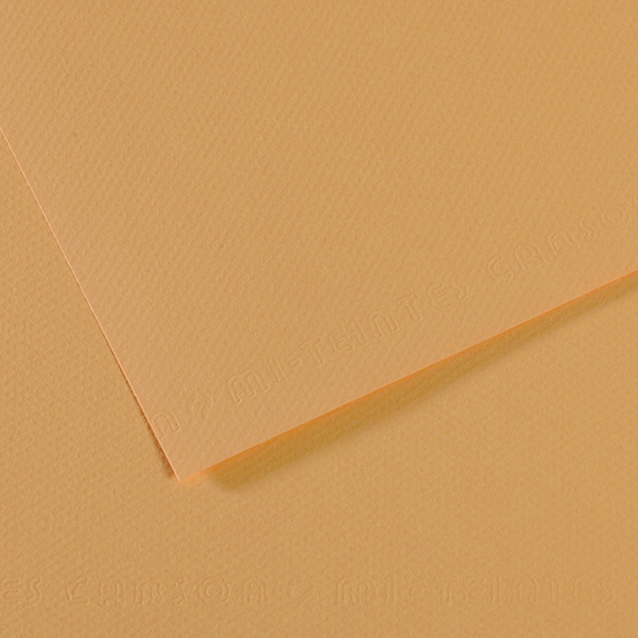 фото Бумага для пастели canson mi-teintes, 160 г/м2, лист 75х110 см, № 340 конопляный