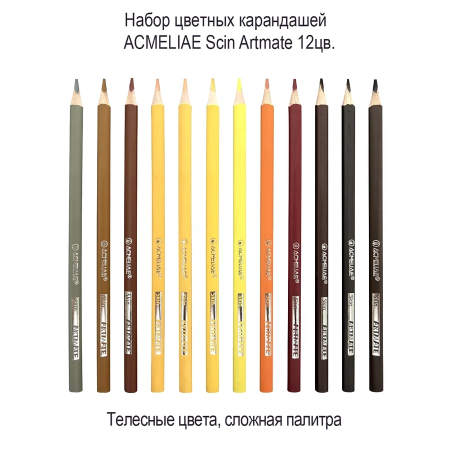 фото Набор цветных телесных карандашей acmeliae skin artmate 12 цветов в картонном футляре