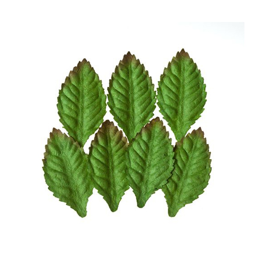 изображение Набор листочков "роза", зеленый, 7шт
