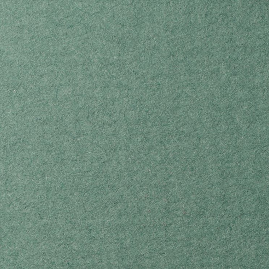 фото Бумага для пастели lana, 160 г/м2, лист 50х65 см, полынь