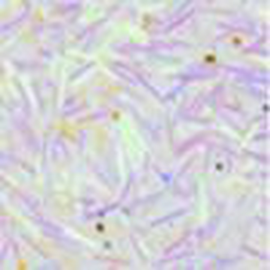 изображение Блёстки декоративные decola 0,3 мм, молочно-лиловый радужный