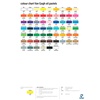 картинка Набор масляной пастели van gogh профессиональный 60 цветов