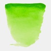 изображение Краска акварельная van gogh, туба 10 мл, № 633 устойчивый желто-зеленый