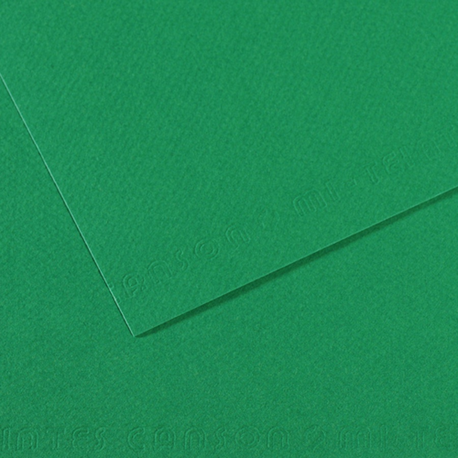 изображение Бумага для пастели canson mi-teintes, 160 г/м2, лист а4, № 575 тёмно-зелёный