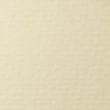 фото Бумага для пастели lana, 160 г/м2, лист 50х65 см, кремовый