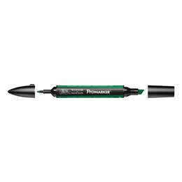 фотография Маркер спиртовой promarker winsor & newton, ярко-зелёный g756