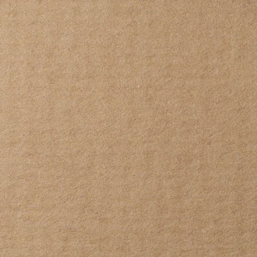 изображение Бумага для пастели lana, 160 г/м2, лист а4, светло-коричневый