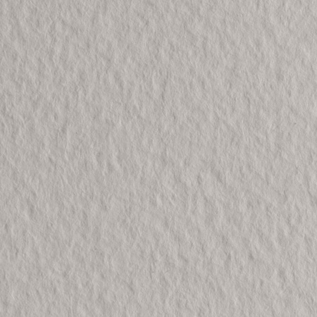 изображение Бумага для пастели fabriano tiziano, 160 г/м2, лист а4, белый перламутровый № 26