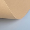 изображение Бумага цветная fabriano cartacrea 220г 50x70 бежевый