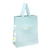 картинка Пакет подарочный 26x32x12см meshu "trendy blue", отд. фольгой, матовая ламинация