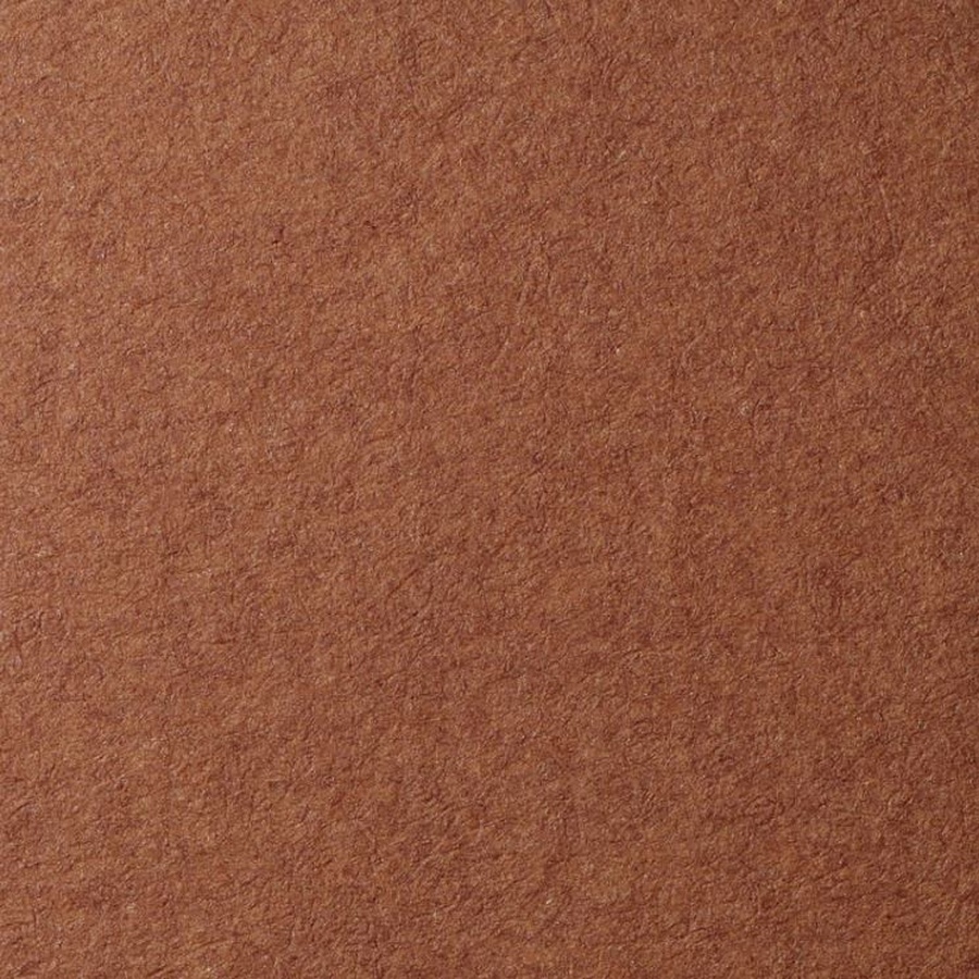 картинка Бумага для пастели lana, 160 г/м2, лист 50х65 см, тёмно-коричневый