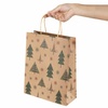 фото Пакет подарочный новогодний 26x13x32см, "kraft winter set", ассорти