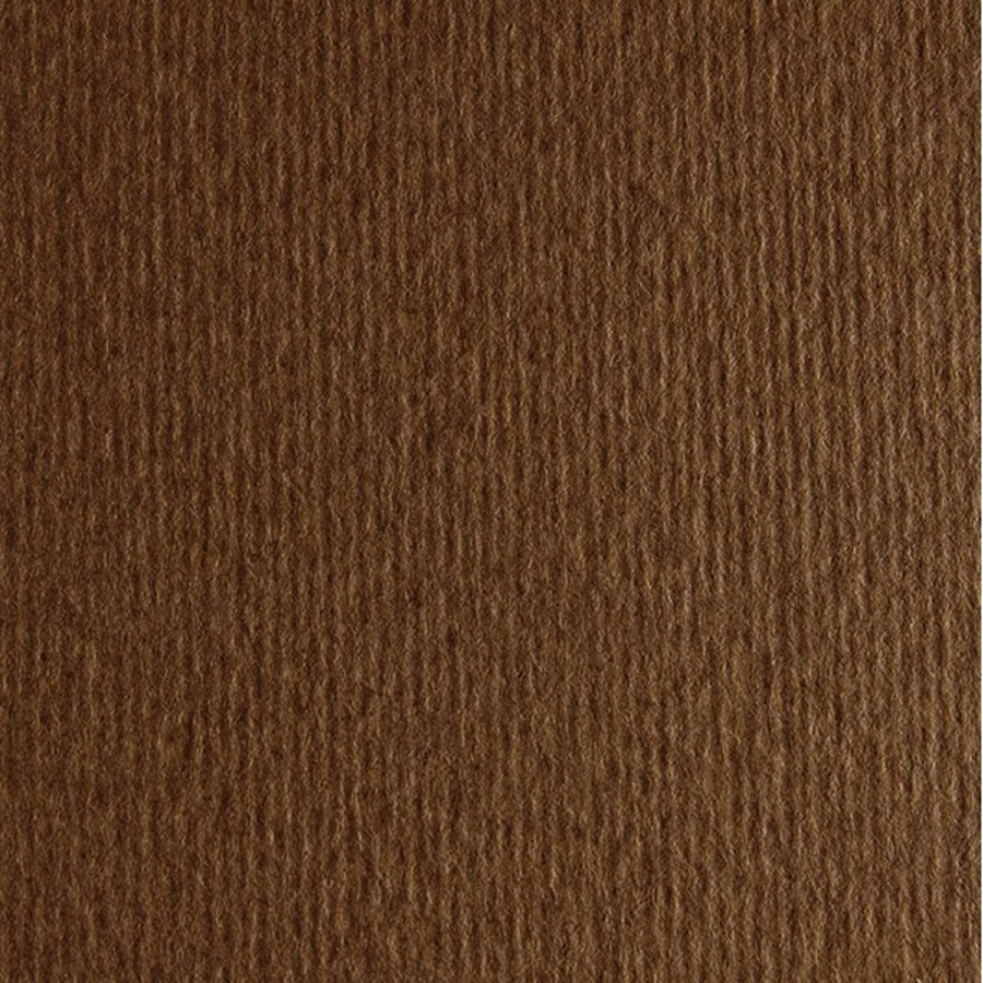 фотография Бумага цветная fabriano cartacrea 220г 21x29,7 корич