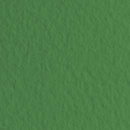 фото Бумага для пастели fabriano tiziano, 160 г/м2, лист 50x65 см, зелёное сукно № 37