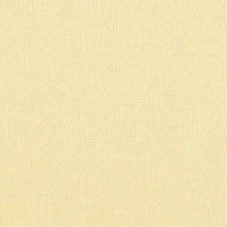 фотография Бумага для пастели палаццо гознак, 160 г/м2, лист а4, песочный