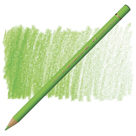 фотография Карандаш цветной faber-castell polychromos 171 светло-зелёный