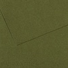 изображение Canson митант, 50х65, 160 гр, №448, плющ