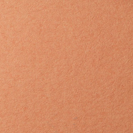 изображение Бумага для пастели lana, 160 г/м2, лист а4, охра