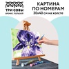 изображение Картина по номерам на холсте "ирис", 30х40 см