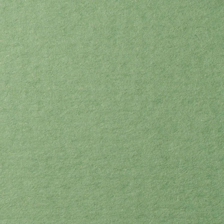 изображение Бумага для пастели lana, 160 г/м2, лист а4, зелёный сок