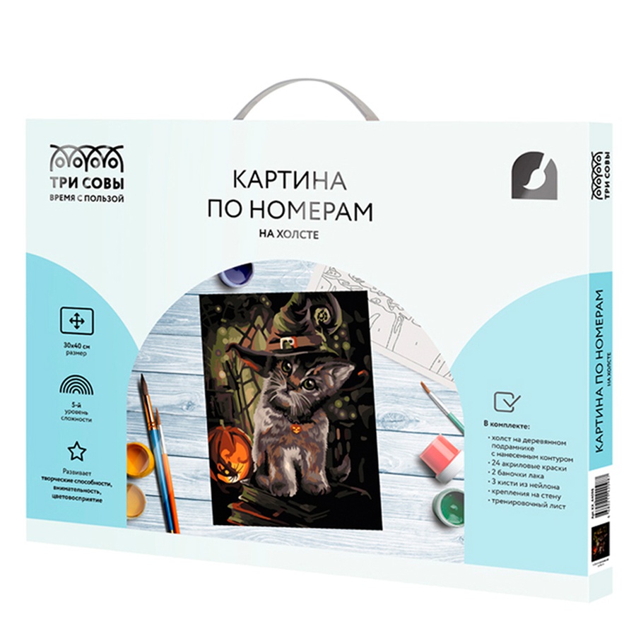 фотография Картина по номерам на холсте "заколдованный котик",30х40 см